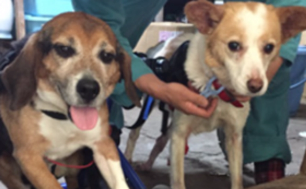 【みなさんのお力の結集が大きな力になります!】