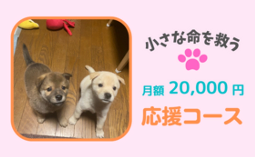 毎月応援！20,000円コース