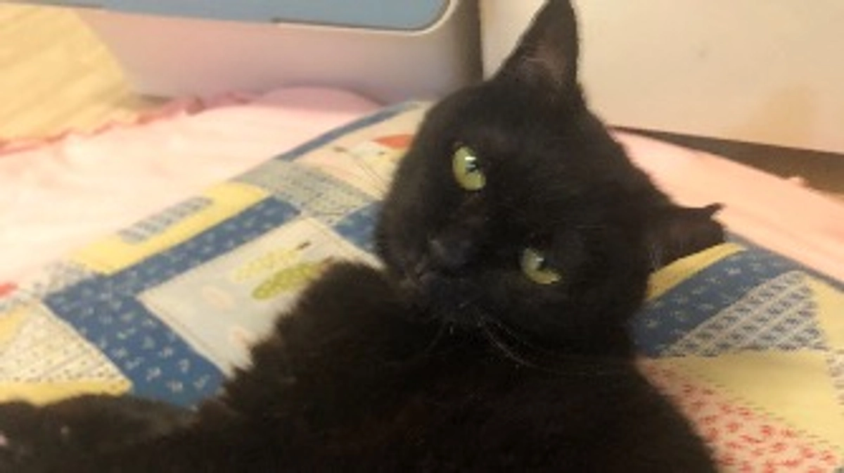 目標金額達成しました！