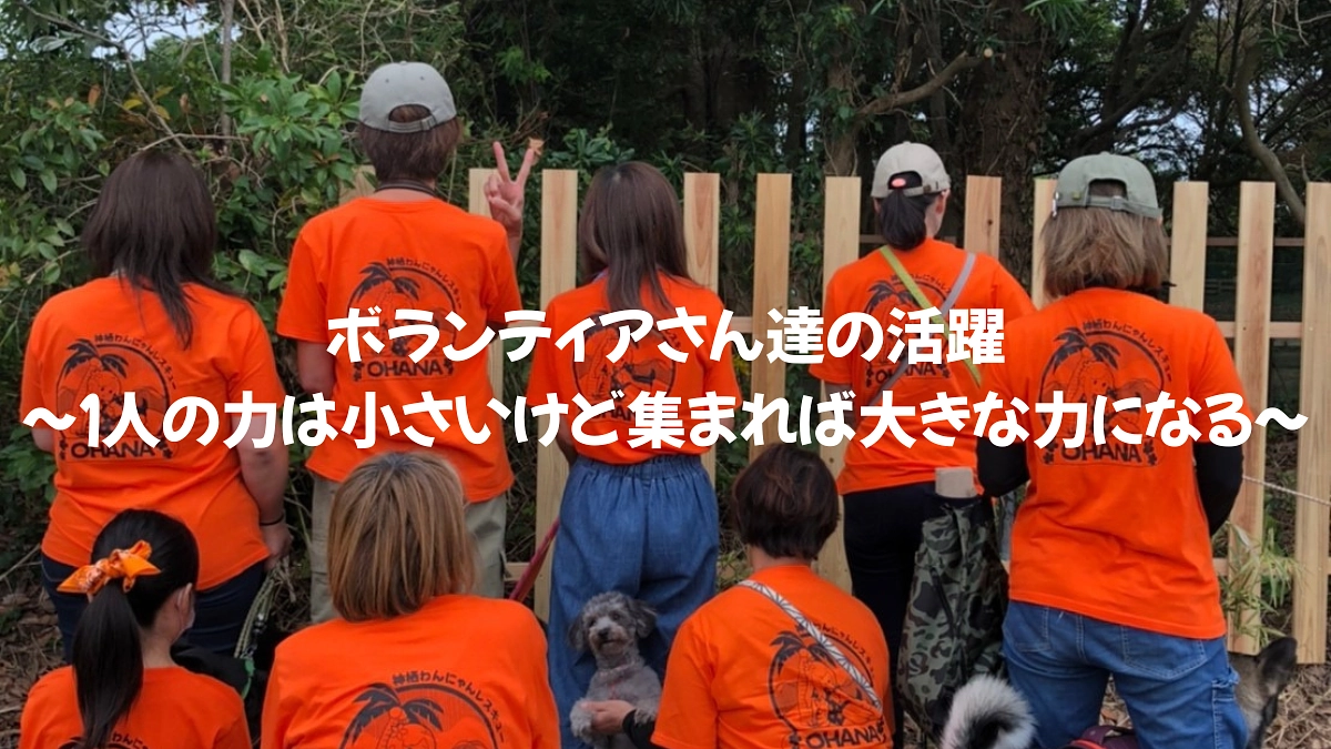 ボランティアさん達の活躍~１人の力は小さいけど集まれば大きな力になる~
