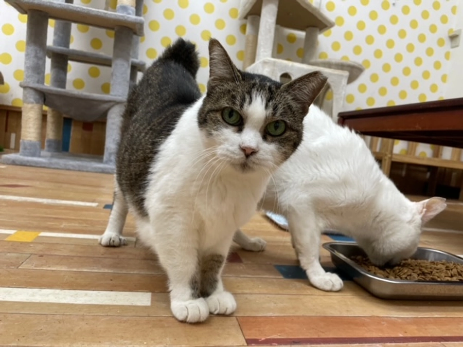 【終了まで残り9日】たくさんの応援メッセージもありがとうございます！