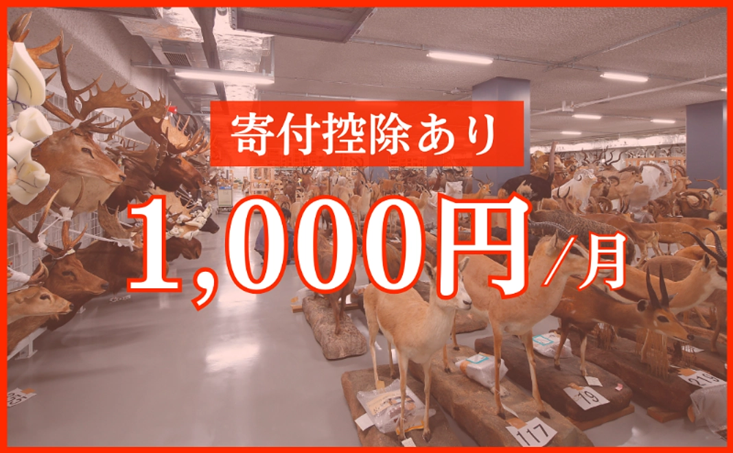 毎月1,000円コース