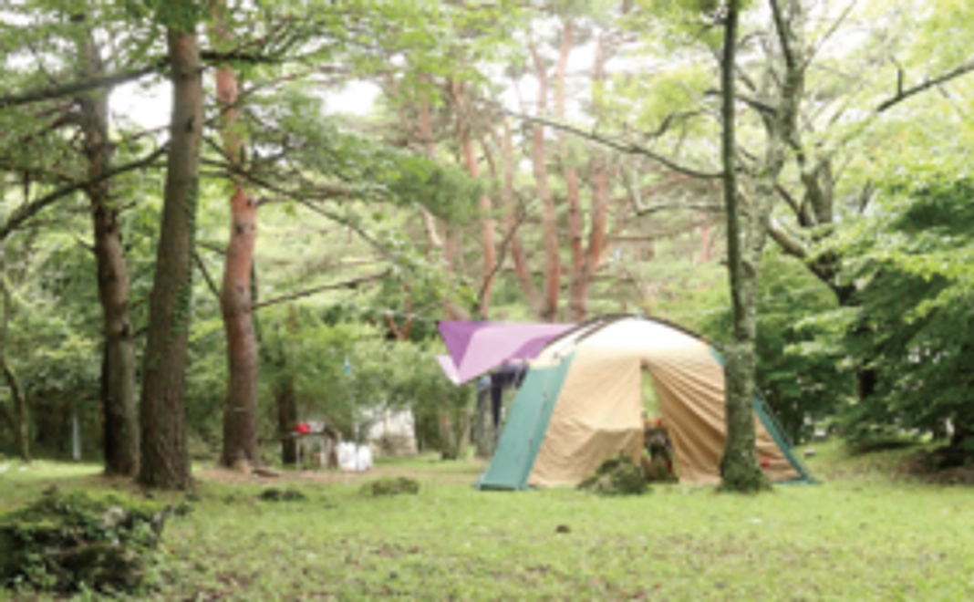 【キャンプ予約】キャンプ利用権（3×7m）