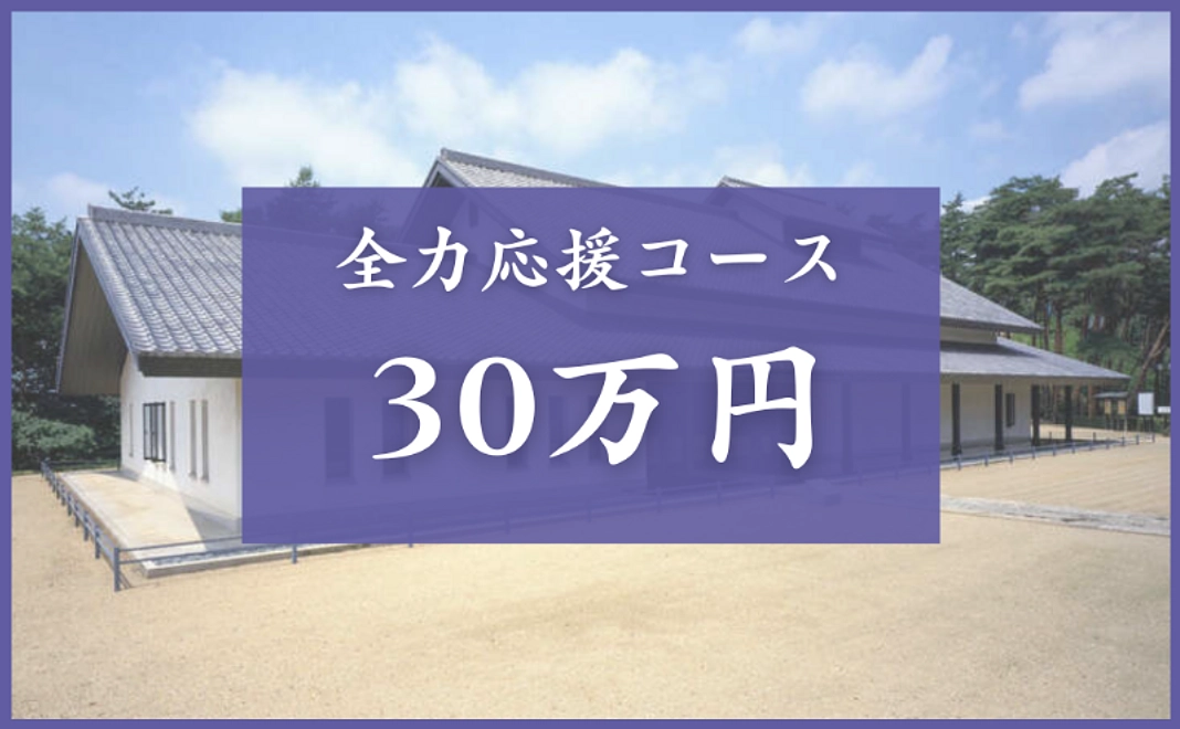 全力応援コース|300,000円