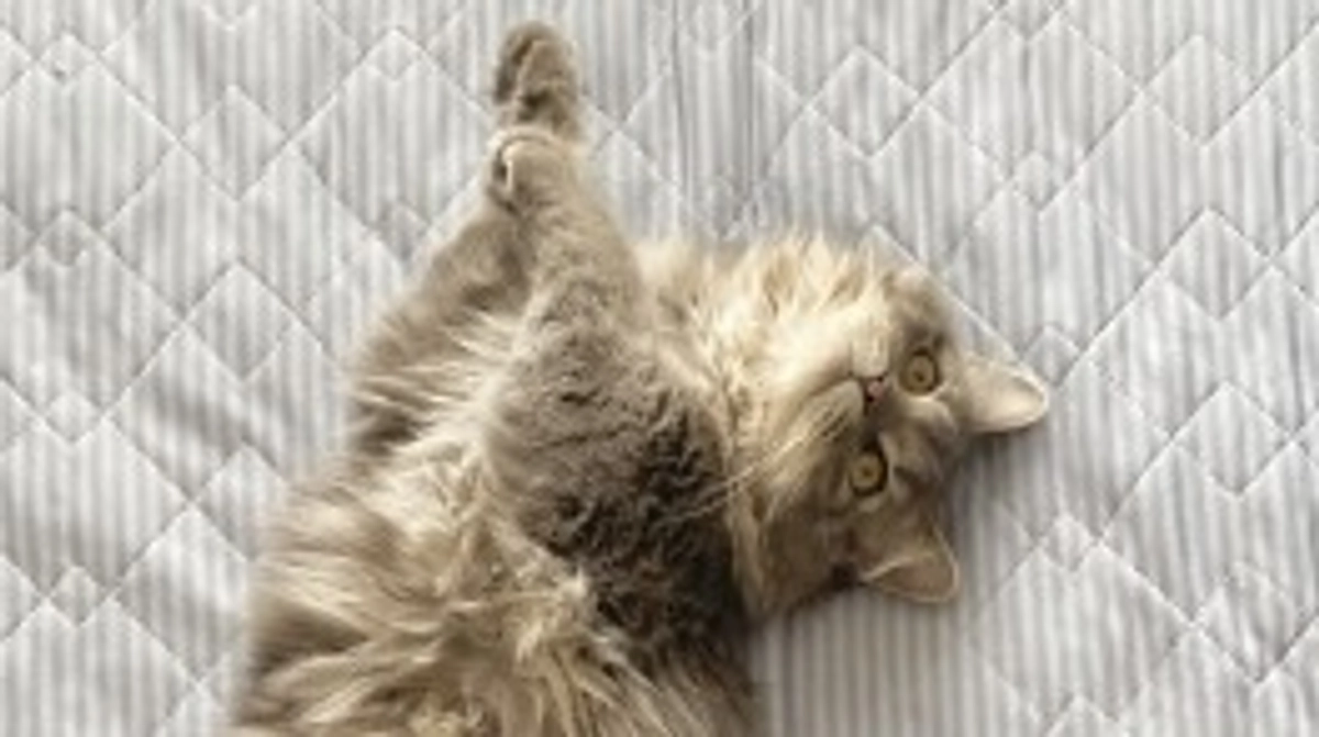 9/29  闘病33日目