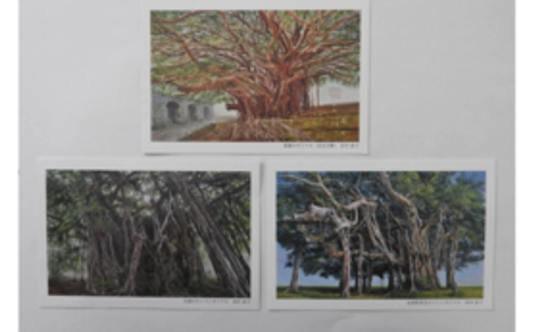 沖縄のガジマル三部作絵はがき