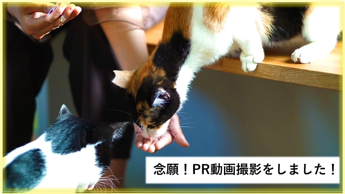 待望！当店の魅力を余すところなく伝えるPR動画の撮影をしました！