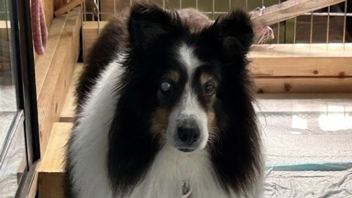 保護フル稼働！