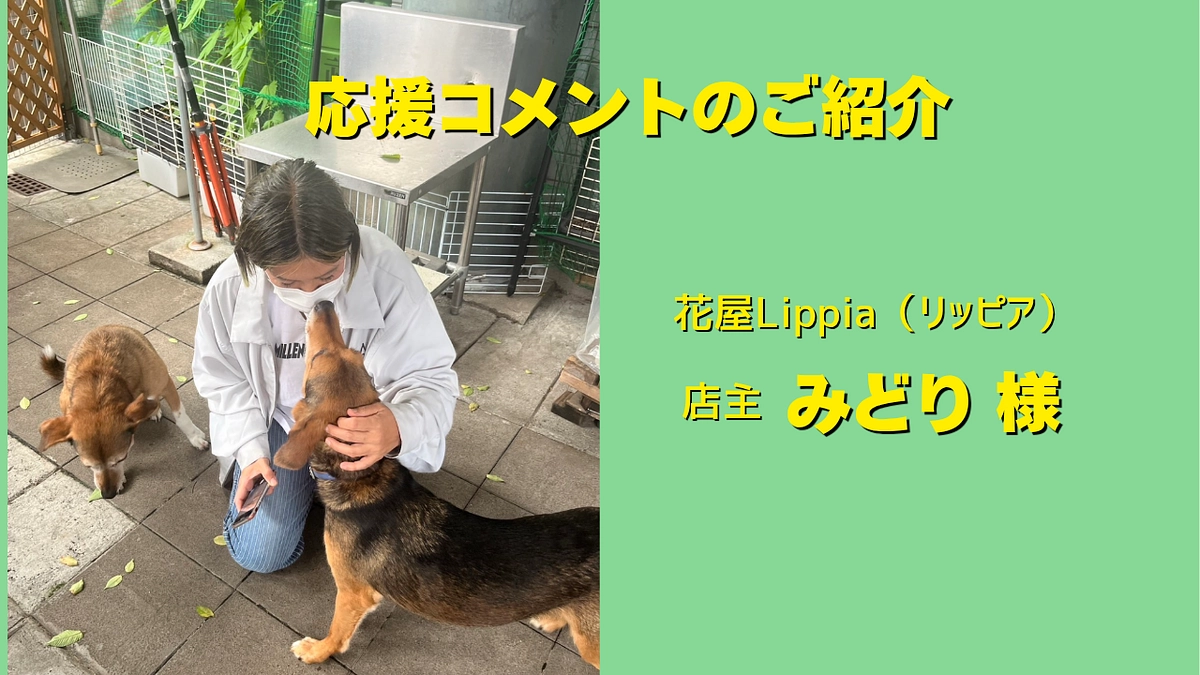 花屋Lippia（リッピア）店主のみどり様より応援メッセージをいただきました！