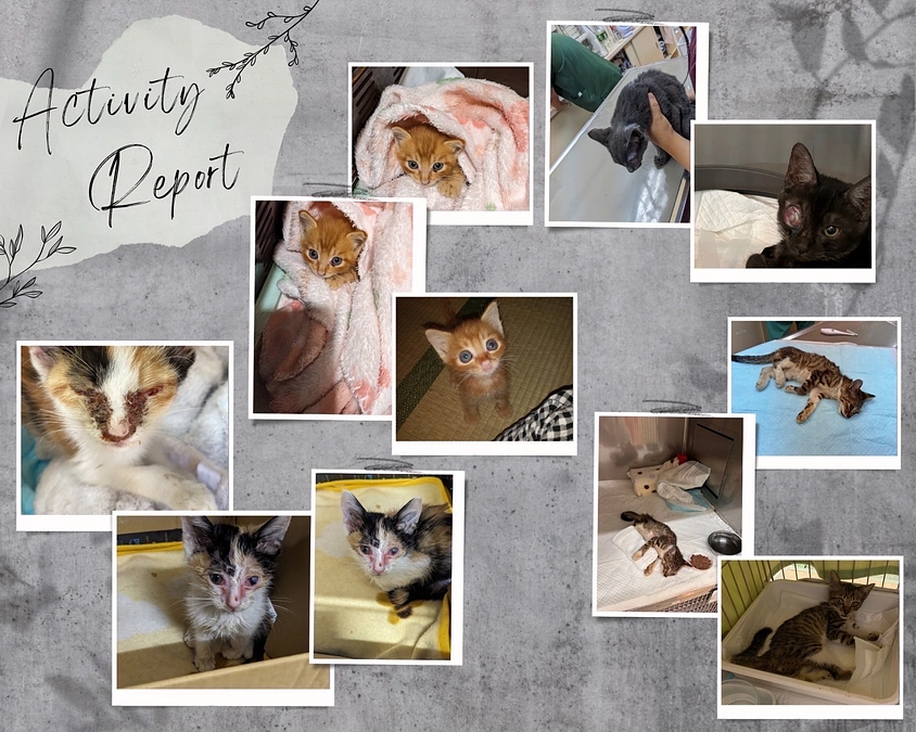 どの仔もみんな幸せになるために生まれてきた！