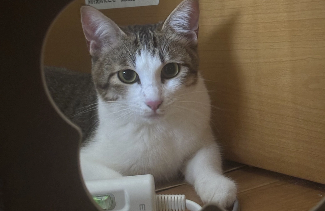 投薬65日目のご報告