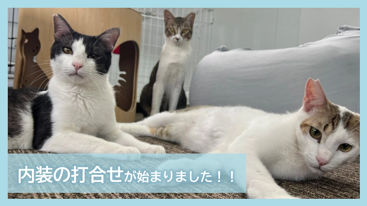 内装の打合せが始まりました！！