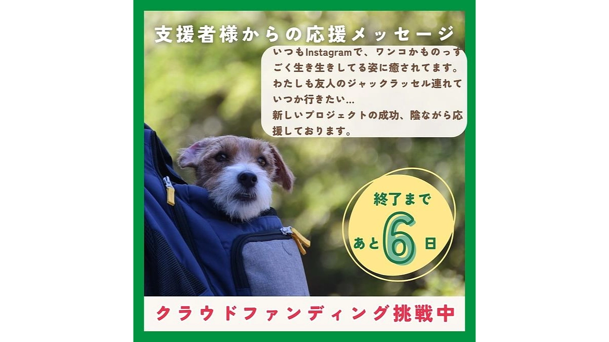 【ワンズ・ラフのストーリー⑧ ちょっと昔の振り返り、フィールド整備編】