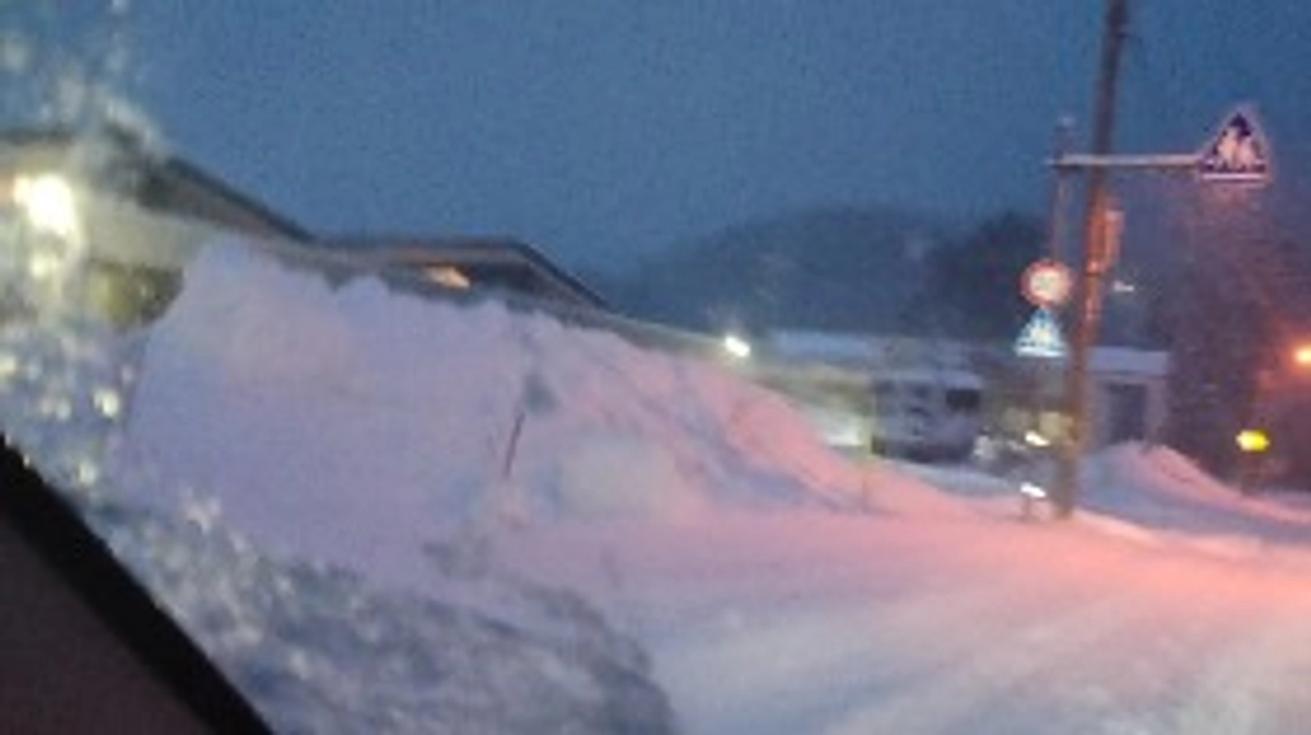 12/31 作業報告です🍠