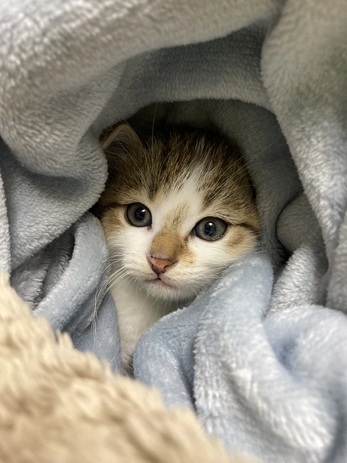 【ハッシュタグ企画開催！】応援いただいている皆様と一緒に、この輪を広げたい！