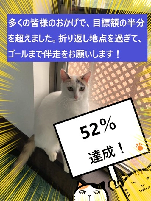 【進捗状況報告】多くの皆様のおかげで52％を達成！　半分まできました！