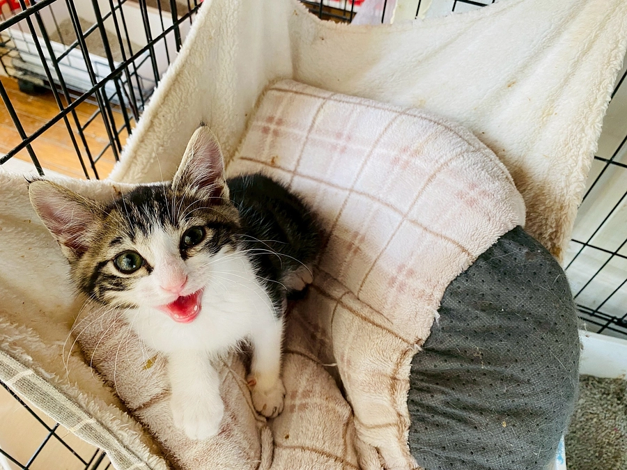 代理支援について