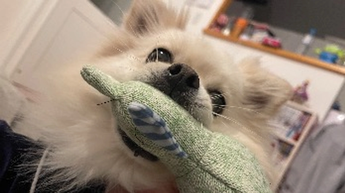 🆘残り28時間🆘