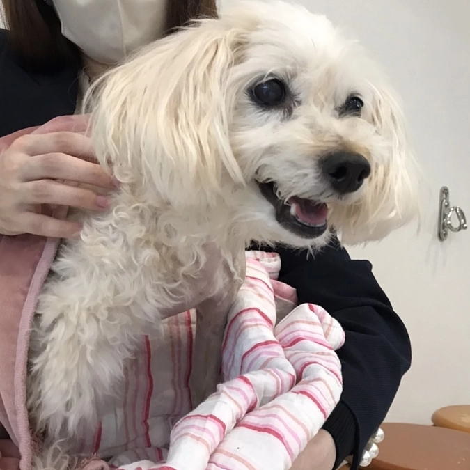 術後3日目の姫芽の様子