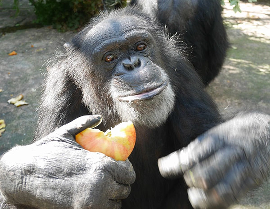 あと3日：新たなクラウドファンディング開始！