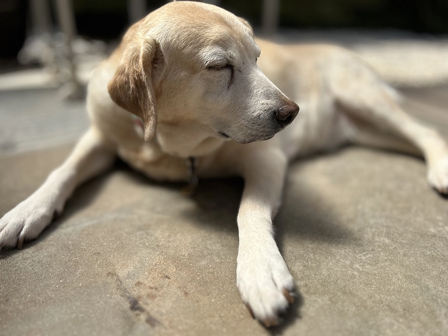 小さな力を大きなうねりに変えたい！！