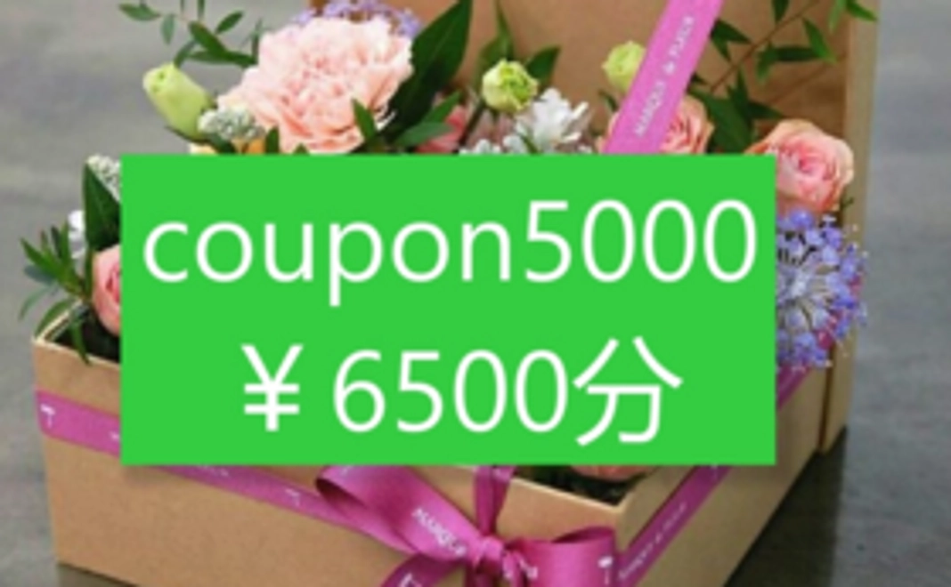 オンラインクーポン付与（6,500円分）