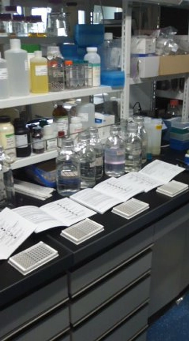 経過報告（１）