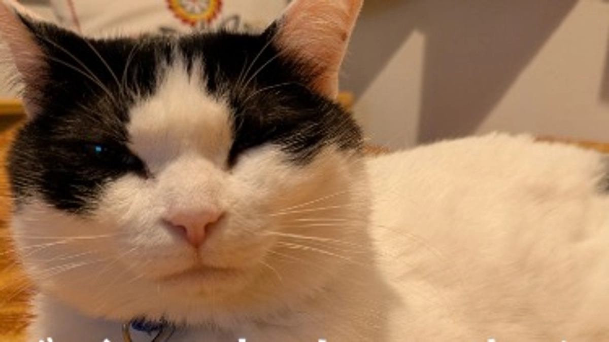 クラウドファンディング終了いたしました!!