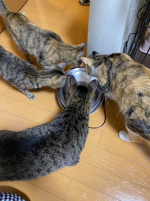 8月26日　検査結果