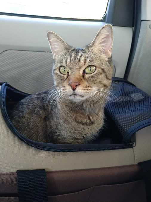 8月26日通院記録〈投薬47日目〉