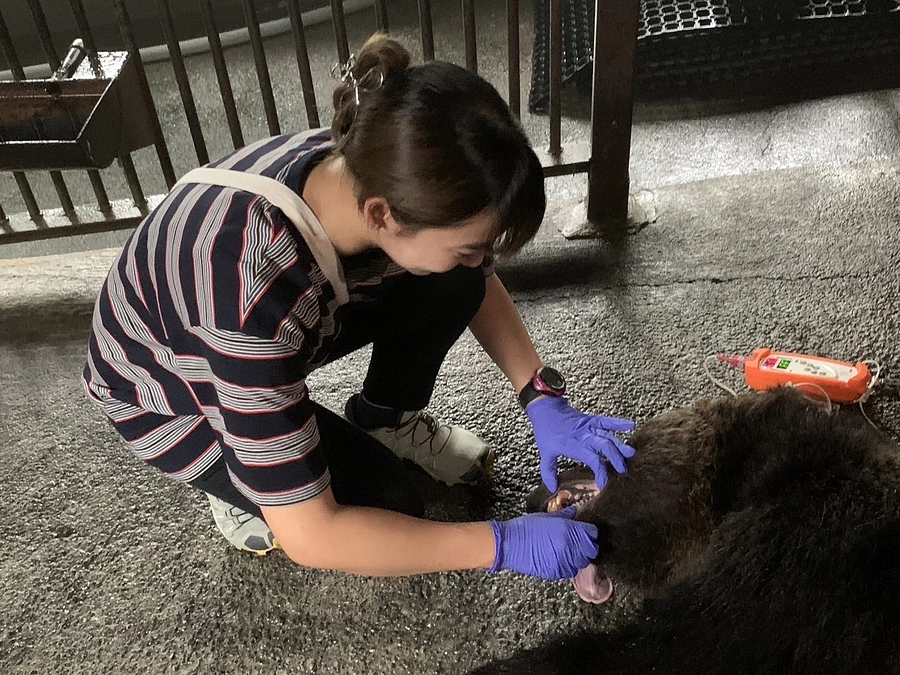 目標額の70％に達しました