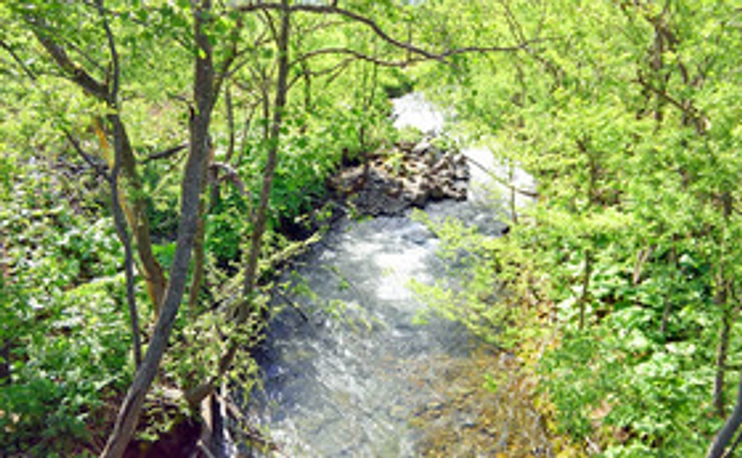 仁宇布から心を込めたサンクスレター