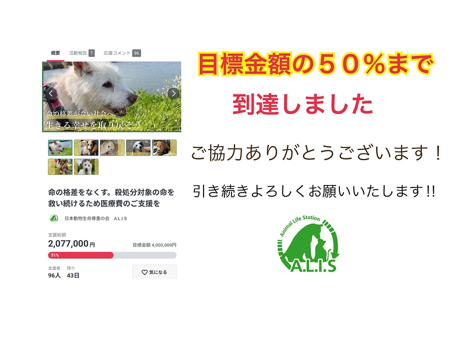 【目標金額５０％超えました！！】