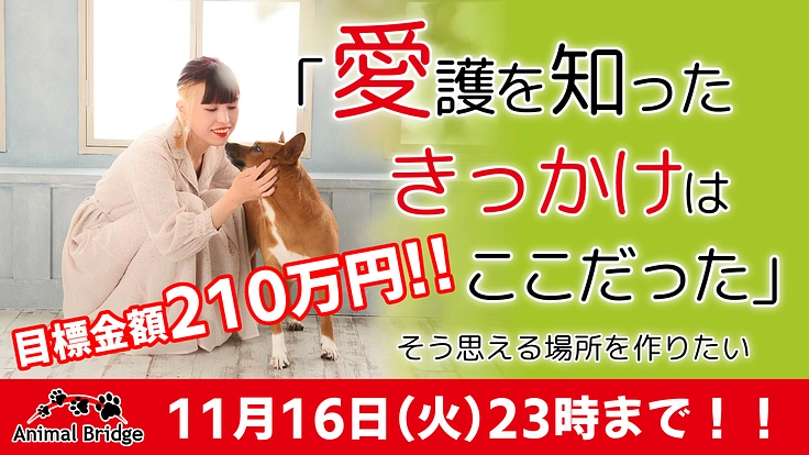 ふれあい型犬猫シェルター設立プロジェクト｜＃きっかけが繋いでいく　