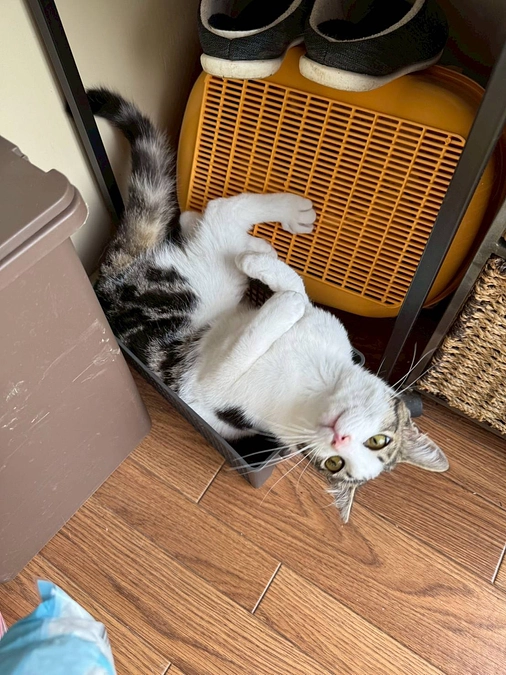 ✨【活動報告】たくさんのご縁と新たな命の受け入れ✨