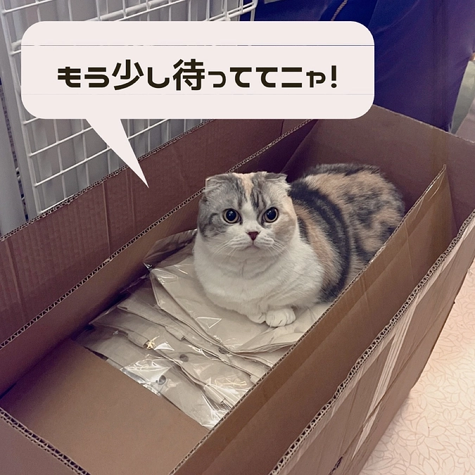 トートバッグ（リターン品）の発送について