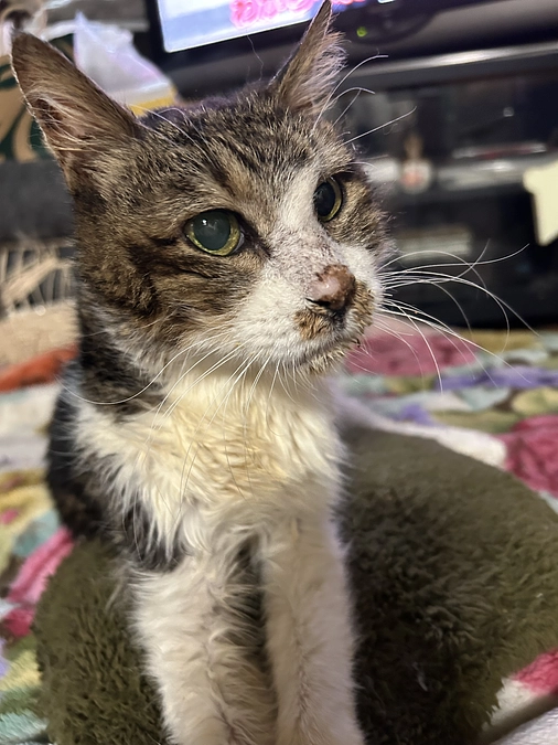 脳梗塞になったくりばあちゃん回復傾向かも？