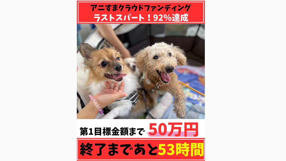あと53時間/第一目標まで50万円を切りました‼️