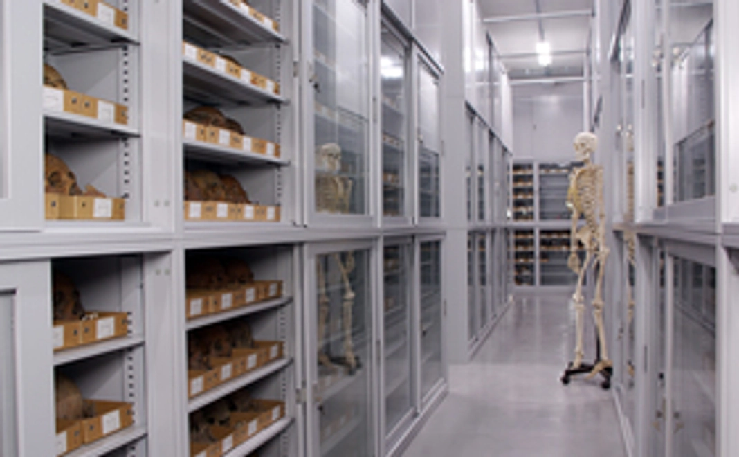 通常は非公開の科博標本庫で人骨から祖先たちのことを知るツアー