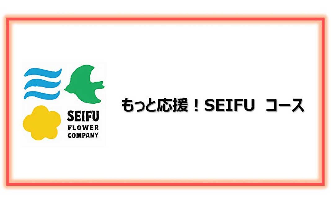 【リターン不要の方向け】もっと応援！SEIFU コース