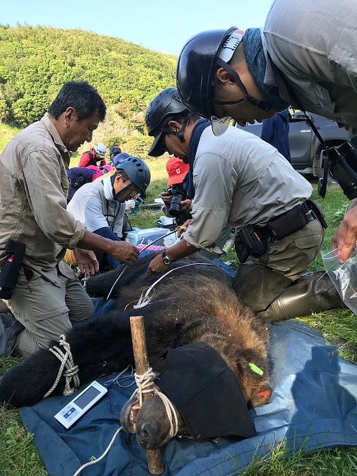 明朝NHK「おはよう北海道」で研究が紹介されます