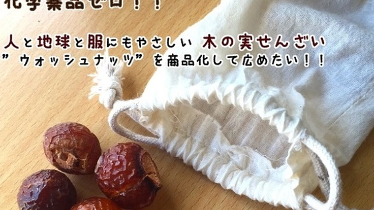 木の実洗剤で日本の美しい自然を子供たちに残したい