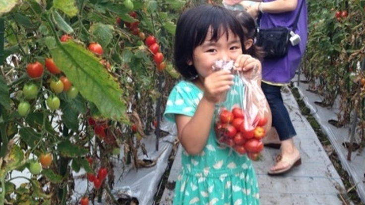 神奈川県相模原市の地域をもっと活性化したい!!