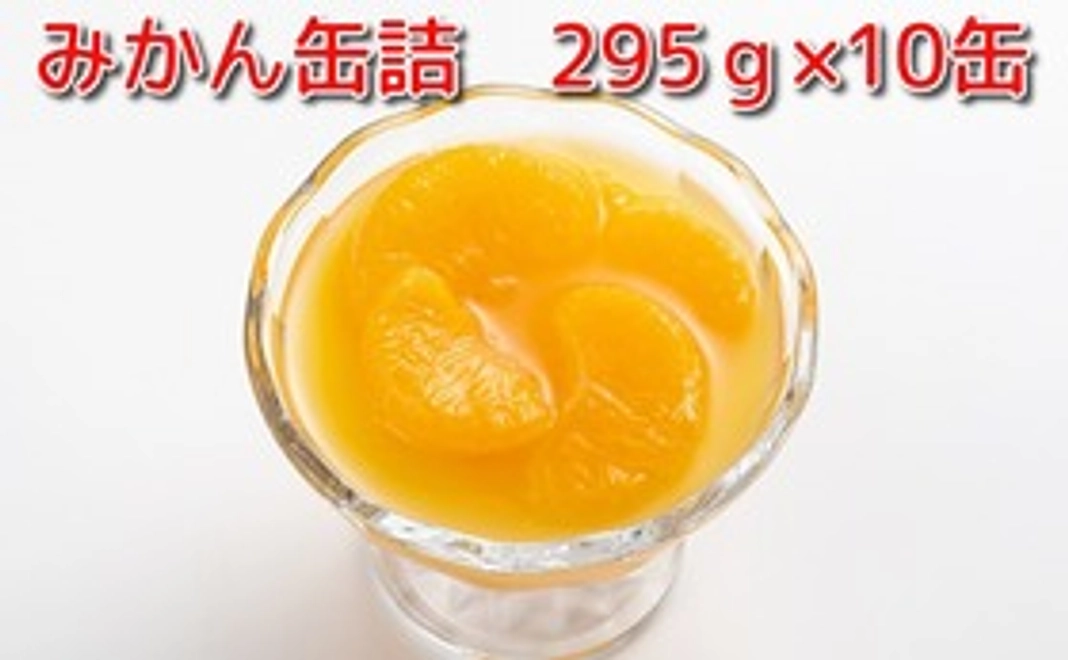 みかん缶詰　10缶
