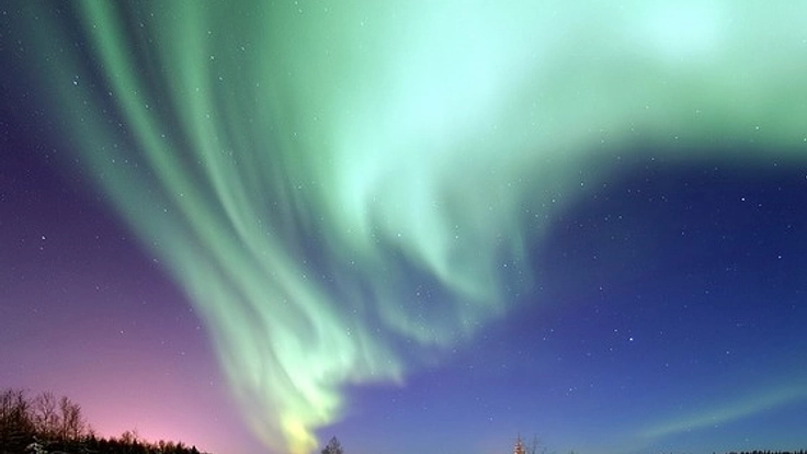 オーロラハニーでアラスカの過疎地域の村に産業を根付かせたい!