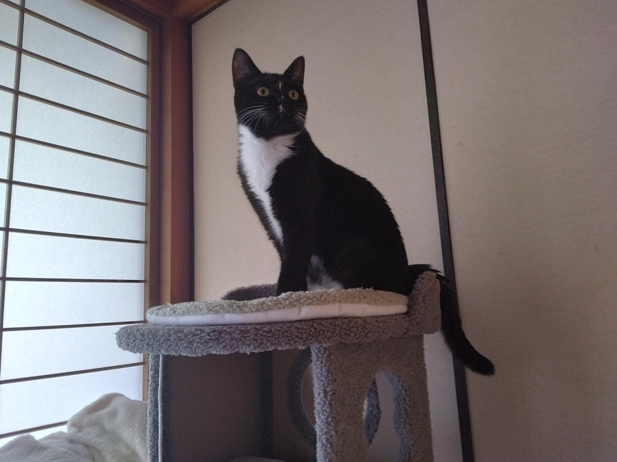 3/22はなちゃんの様子