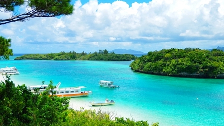 食材.観光地の宝庫沖縄に商品.サービスを売る方法を注入します!