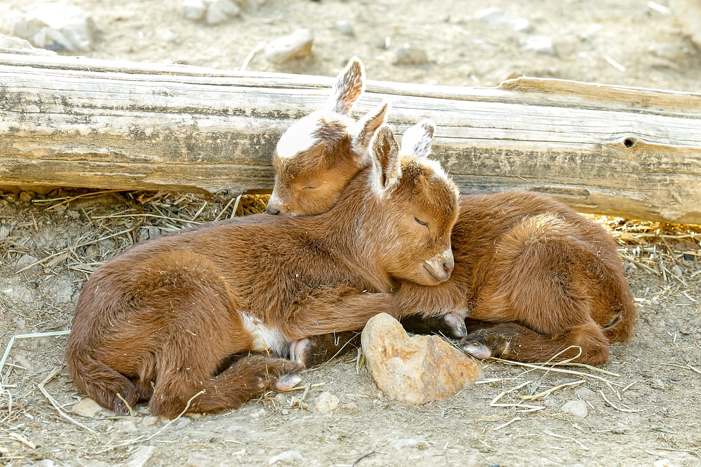 4月20日(土) 返礼品発送の追加のご連絡 その2