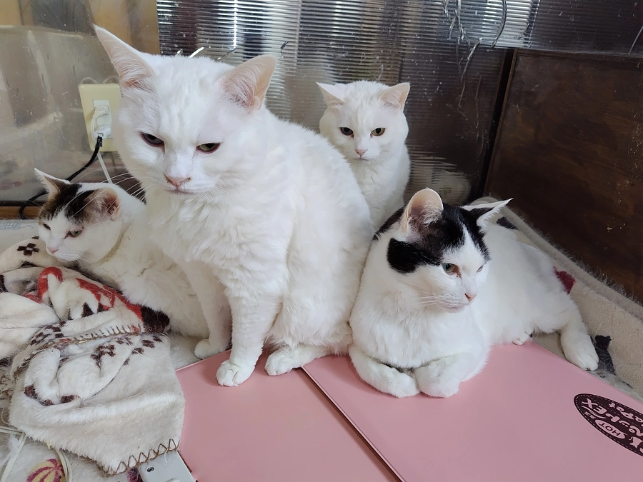 おはようございます😊