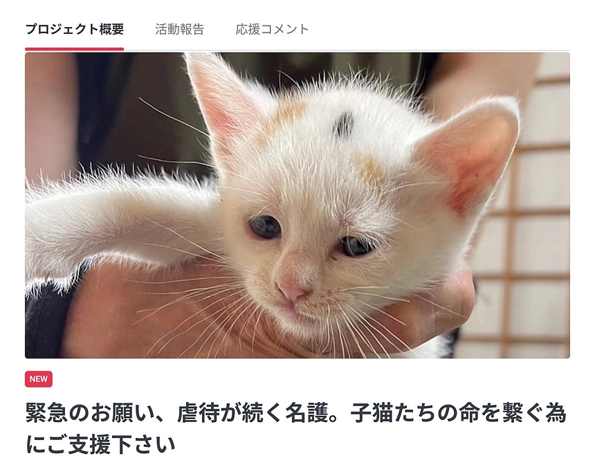 早い段階で目標額を超えました。深く深く感謝を申し上げます。